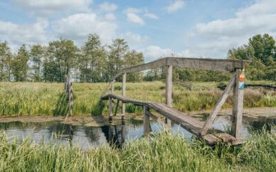 Wandelroute Hooge Boezem in het Groene Hart