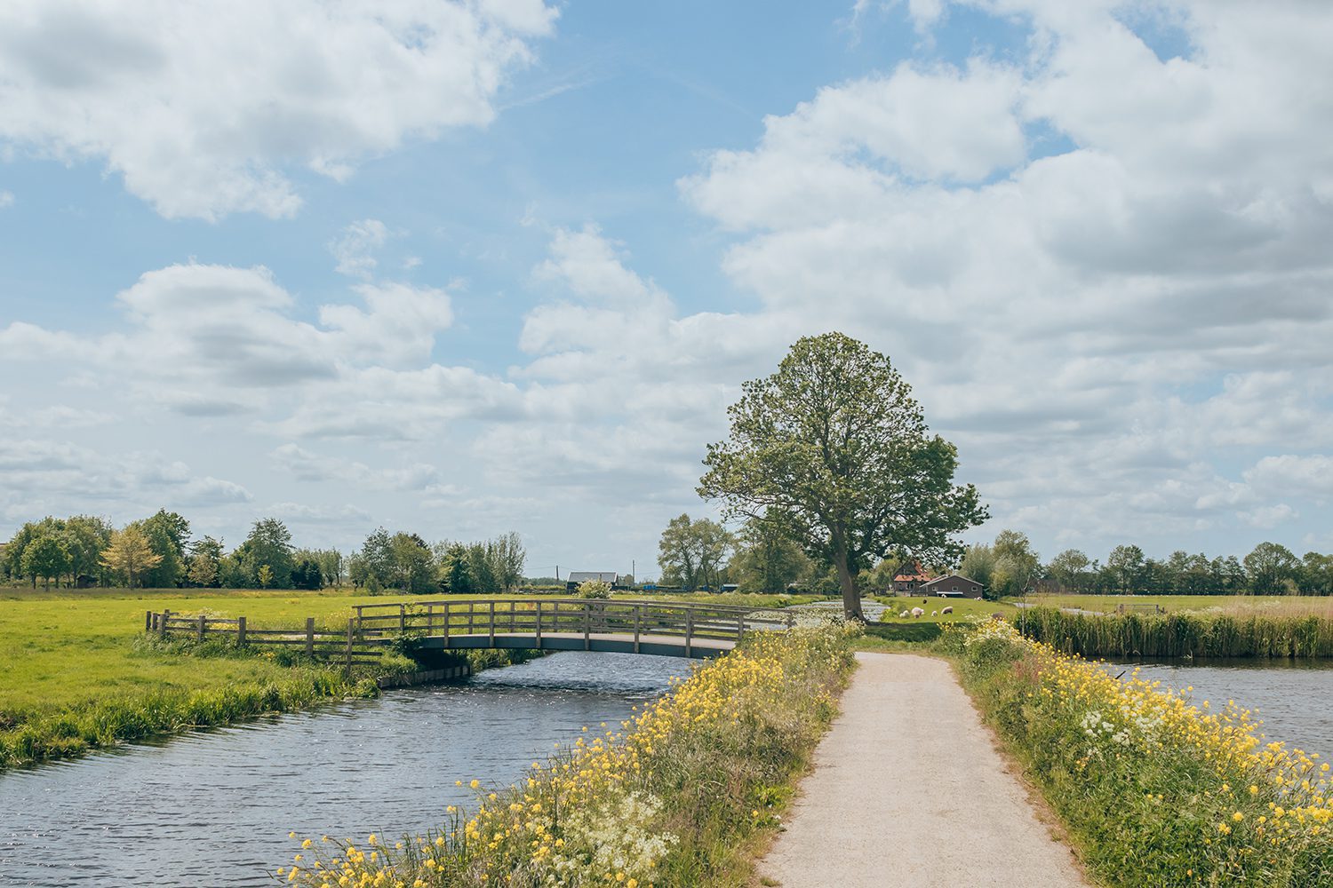 Hooge Boezem