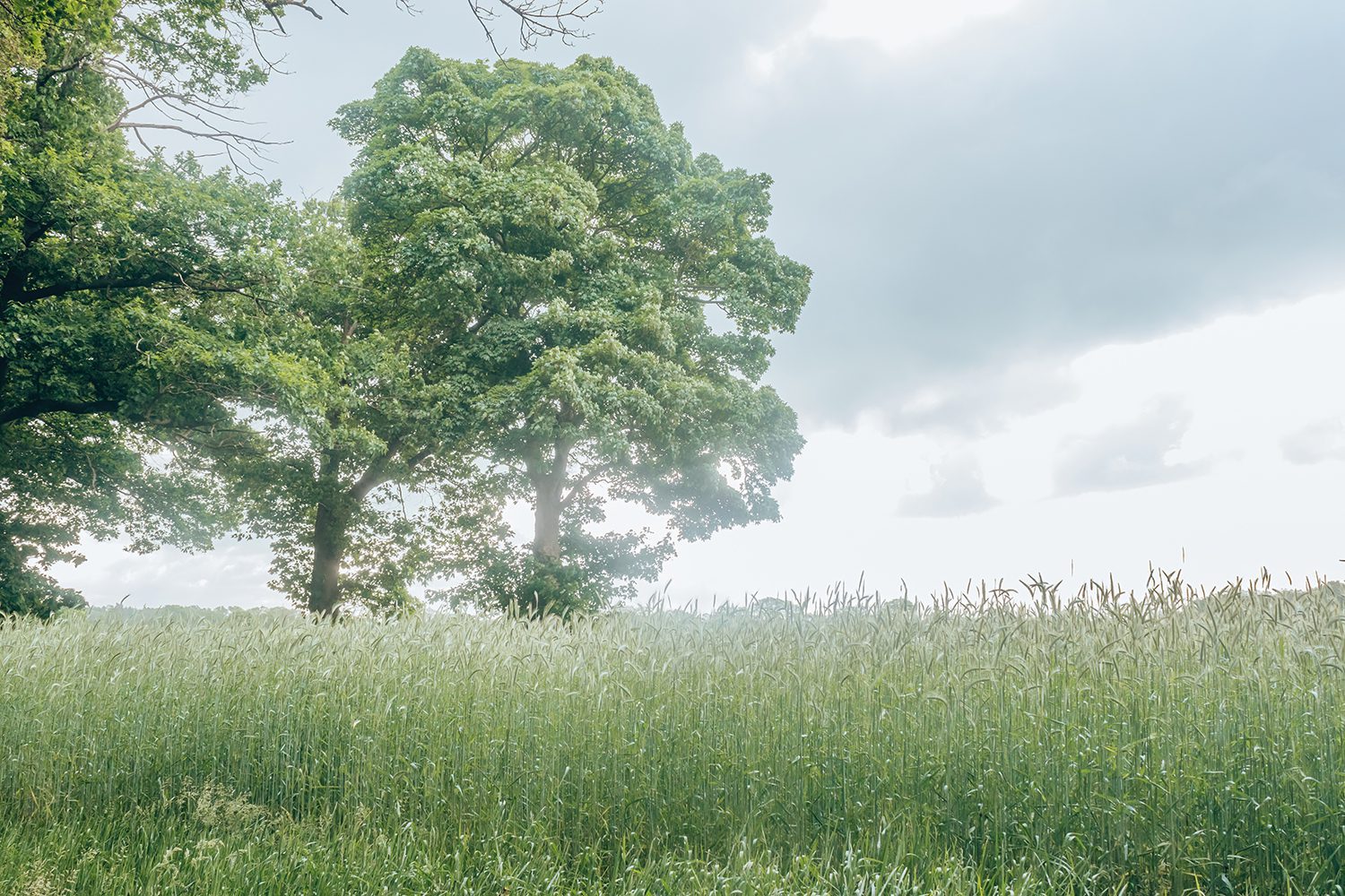 wandelroute steile oever