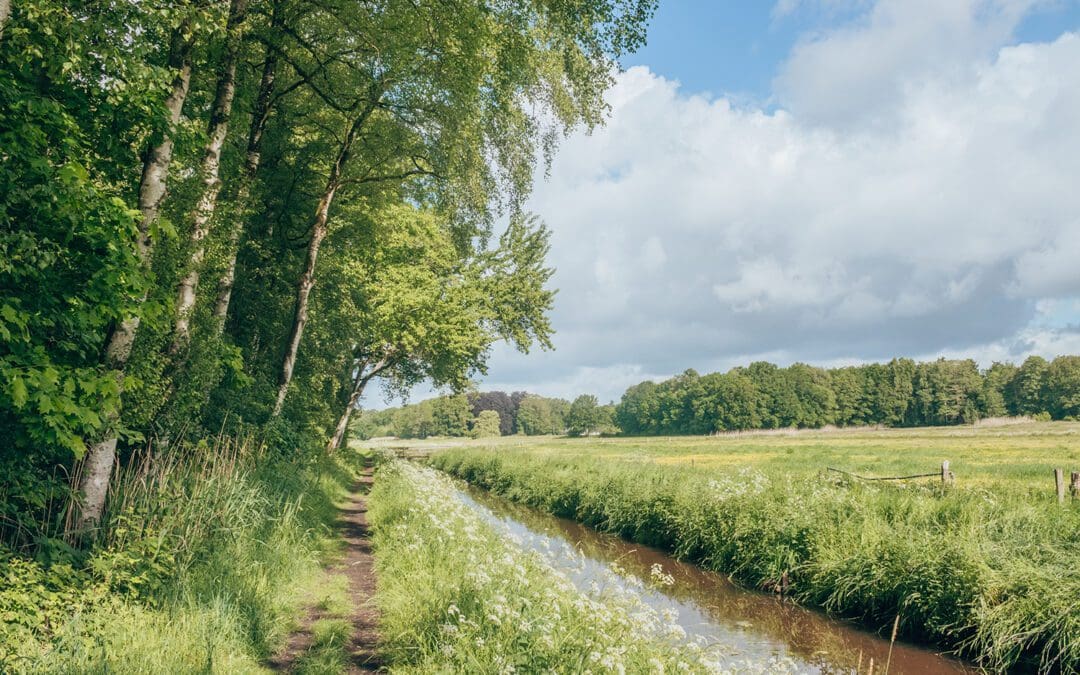 Wandelen langs de Regge, Eerde en de Steile Oever