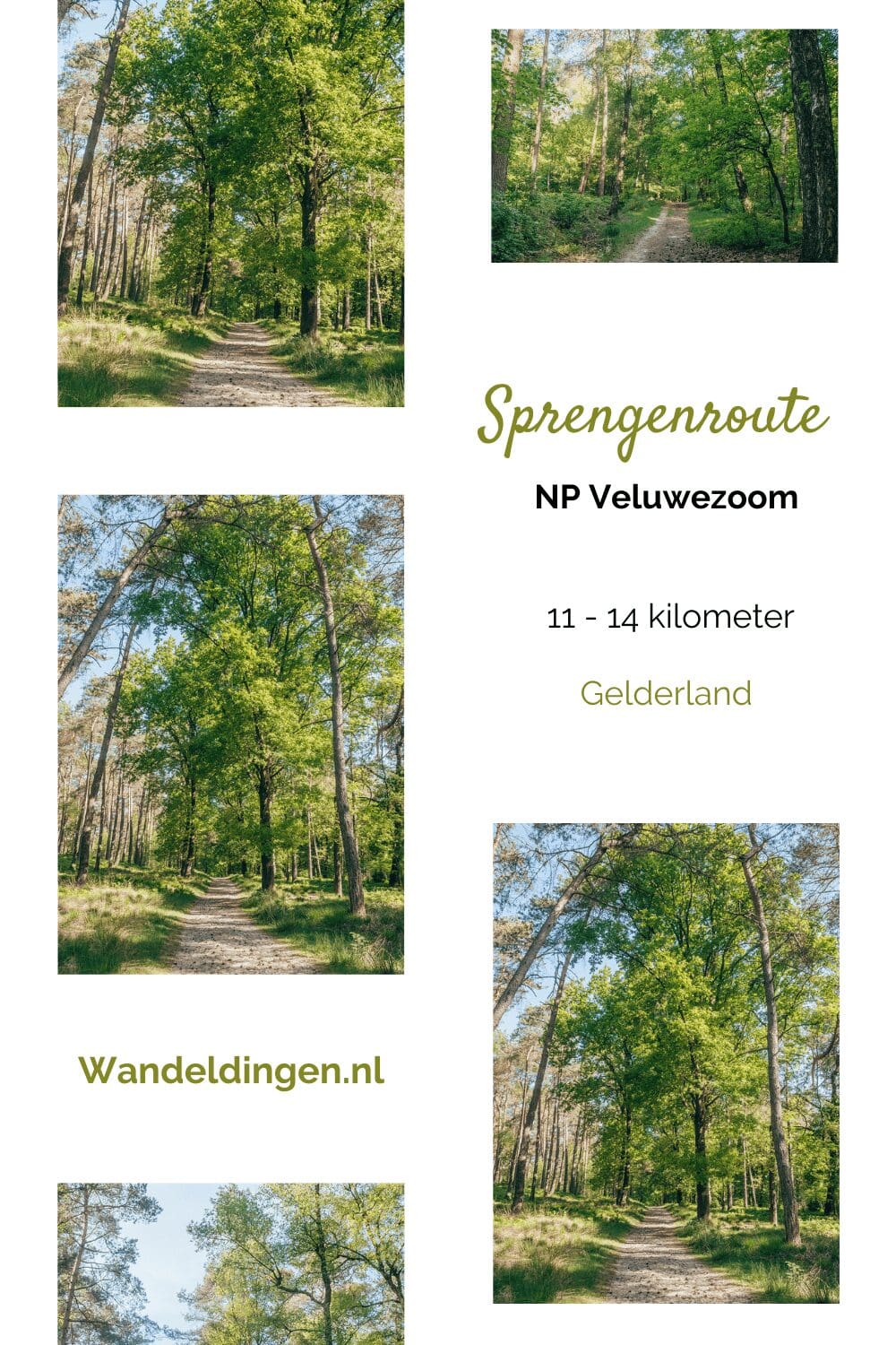 Sprengenroute Veluwe