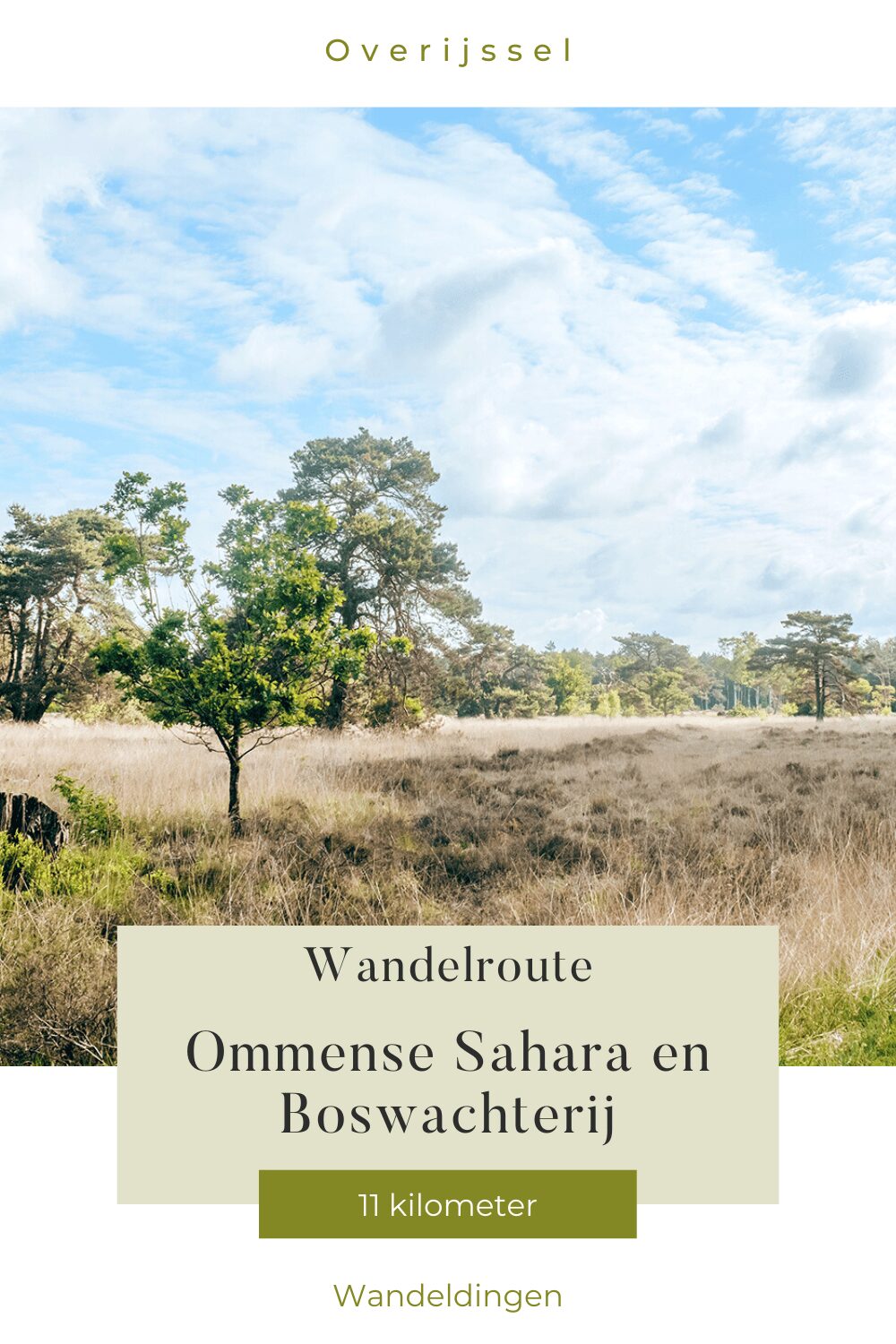 wandelen sahara ommen