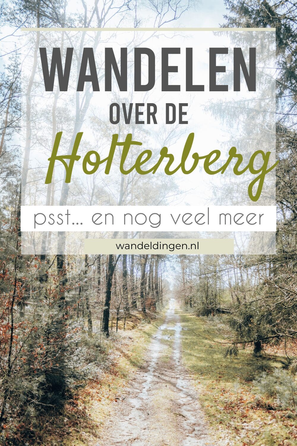 wandelen holterberg