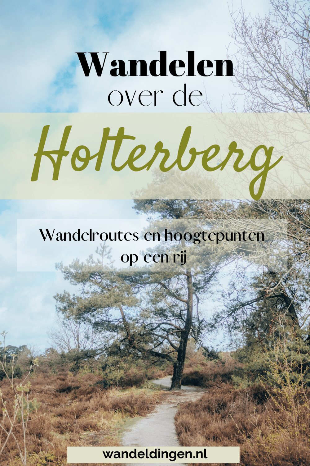 wandelen holterberg