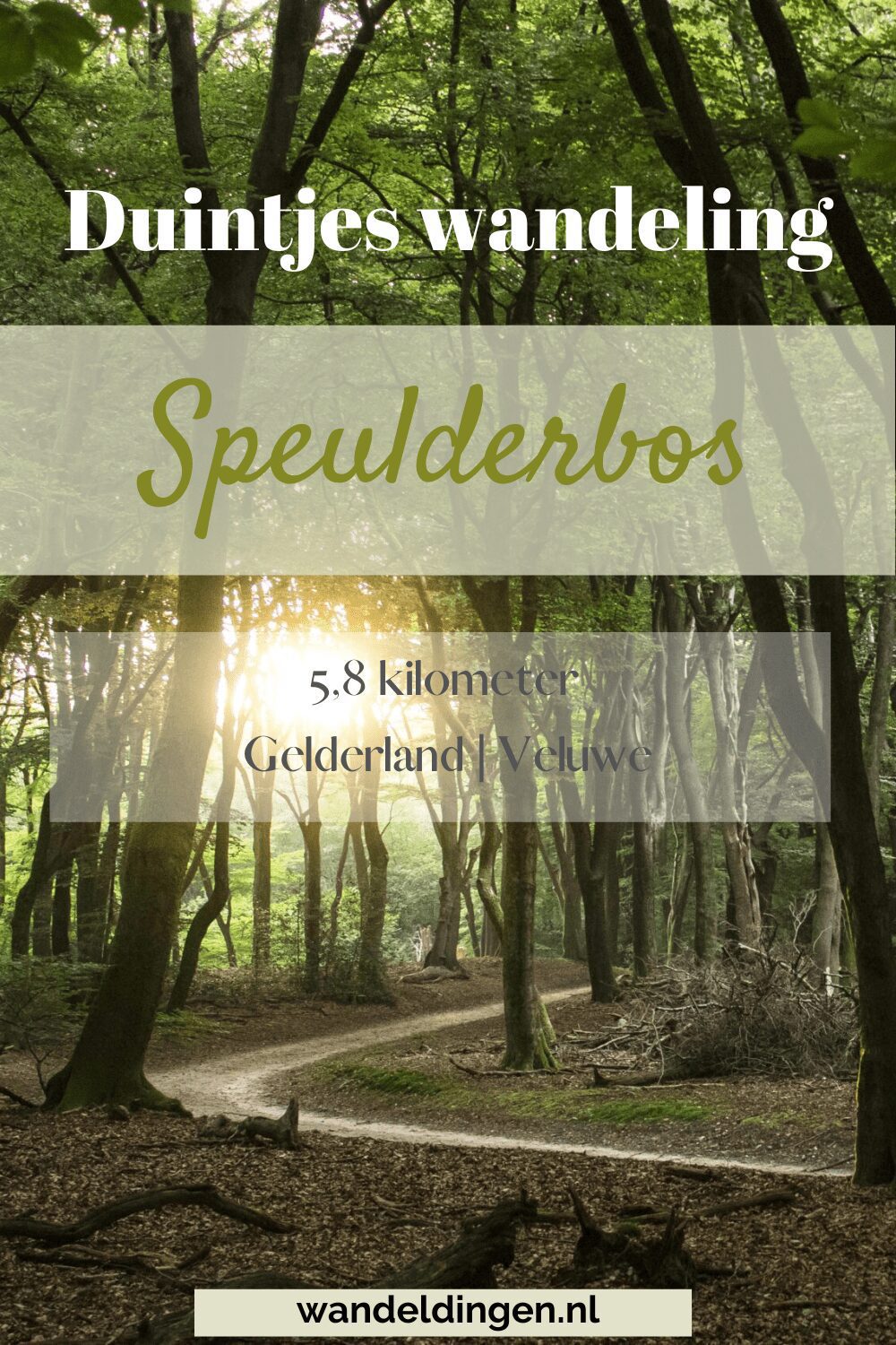 duintjeswandeling