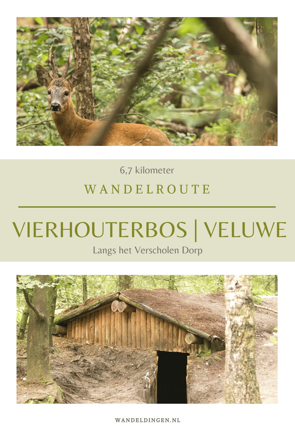 Vierhouterbos