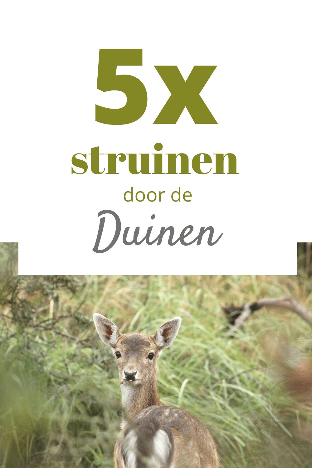 struinen door de duinen