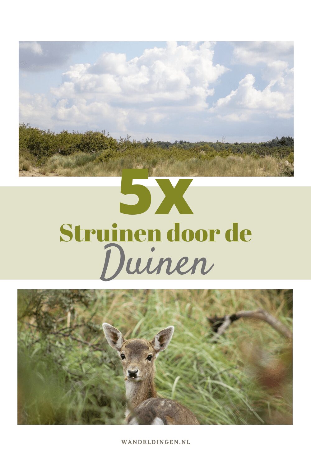 struinen door de duinen