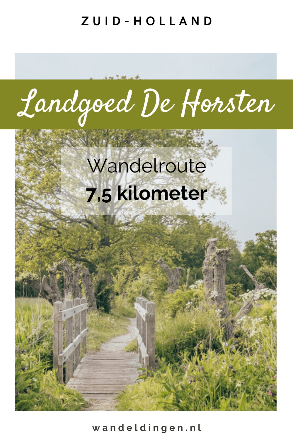 De horsten