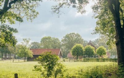 Wandelen bij Ommen: de mooiste wandelroutes