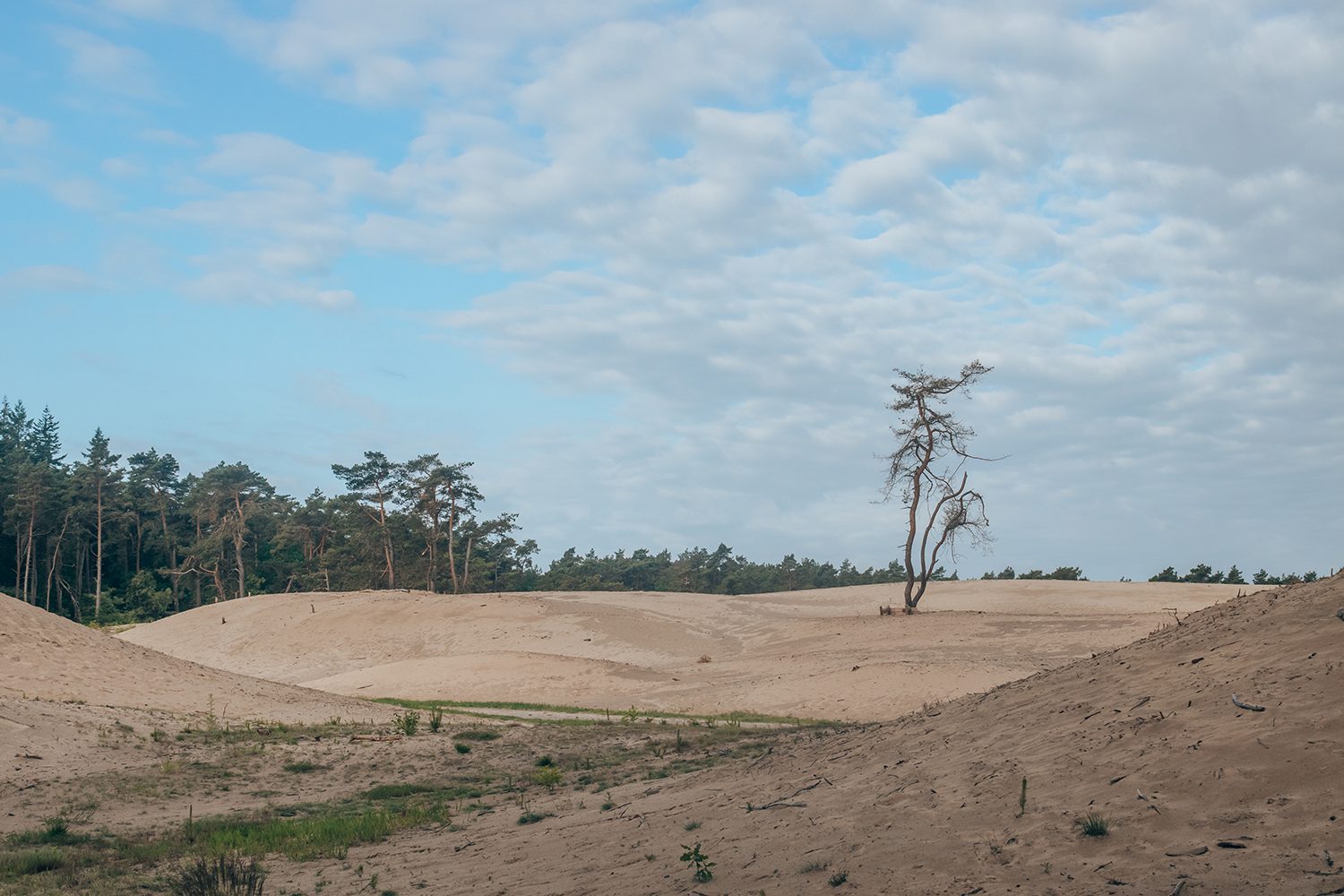 wandelen sahara ommen