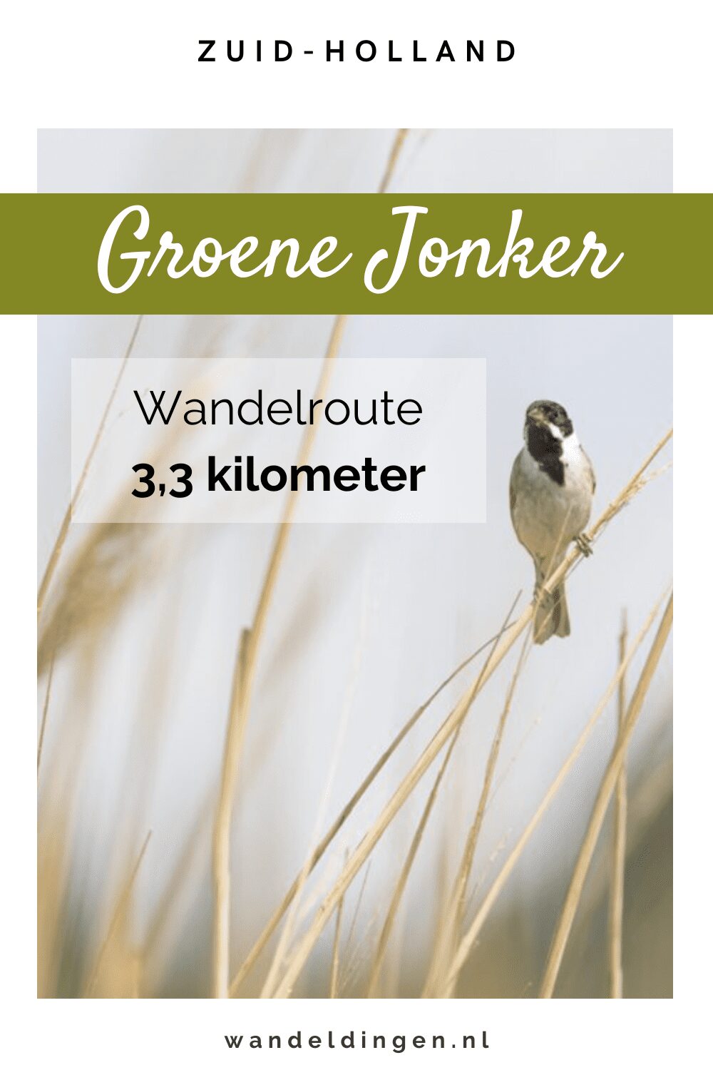 groene jonker