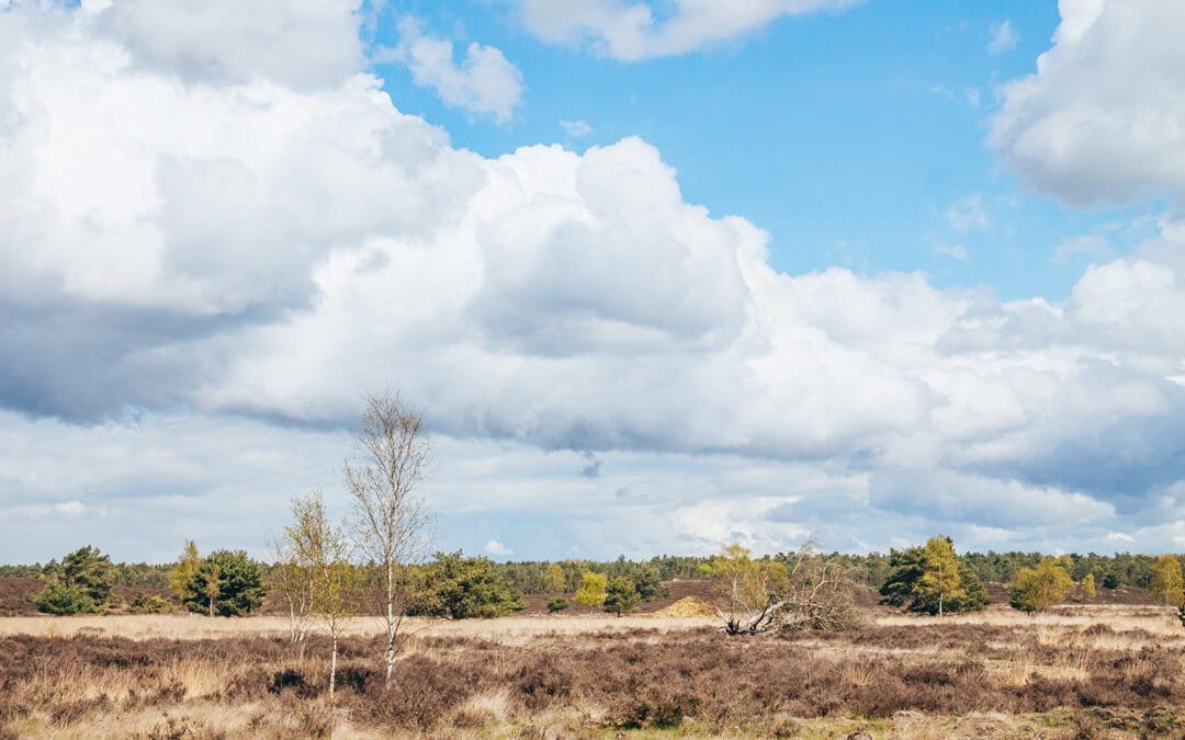 wandelroutes op de Veluwezoom