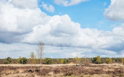 De mooiste wandelroutes op de Veluwezoom 