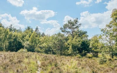 Trage Tocht Papenvoort 2