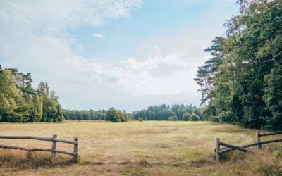 Trage Tocht Landgoed Den Treek Henschoten