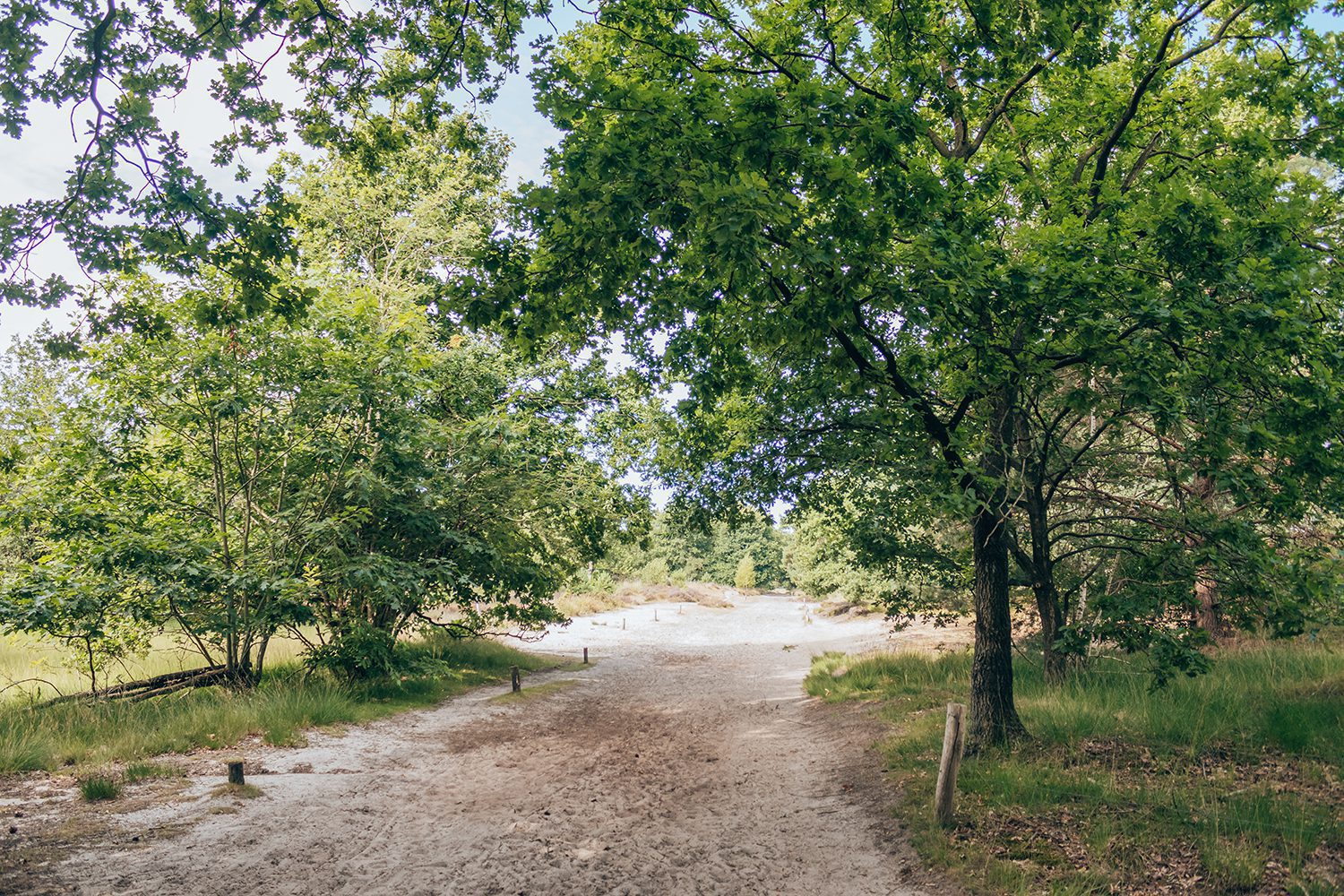 Trage tocht Den Treek