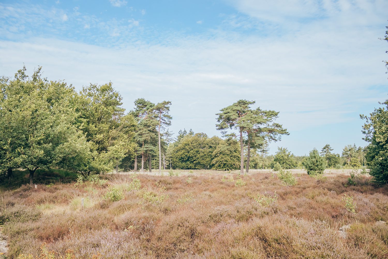 Trage tocht Den Treek