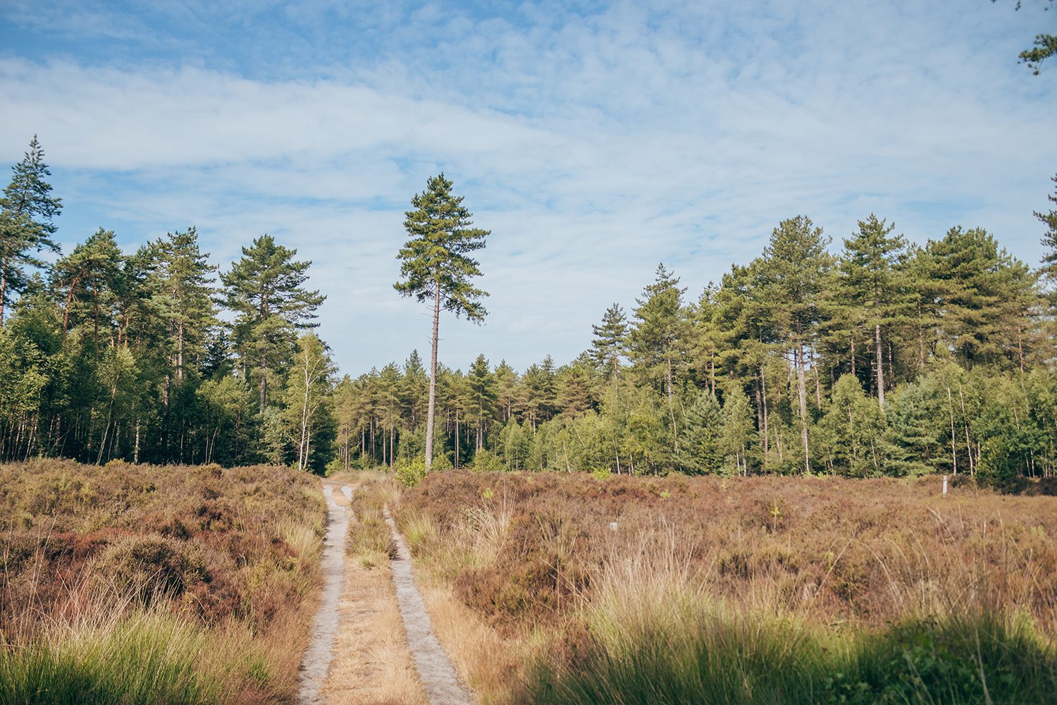 Trage tocht Den Treek