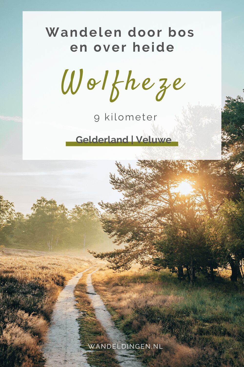 Wandeling Wolfheze