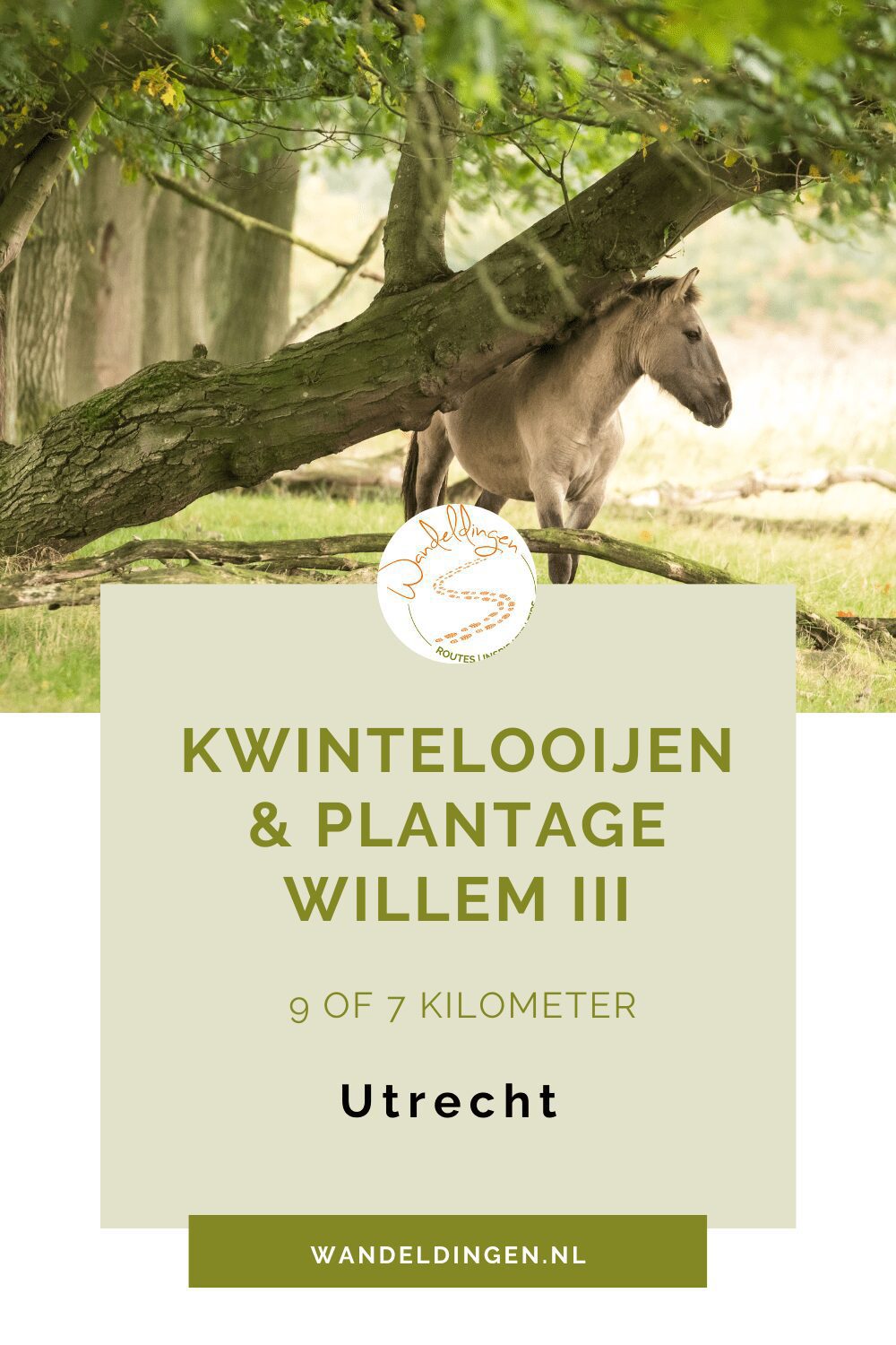 Kwintelooijen