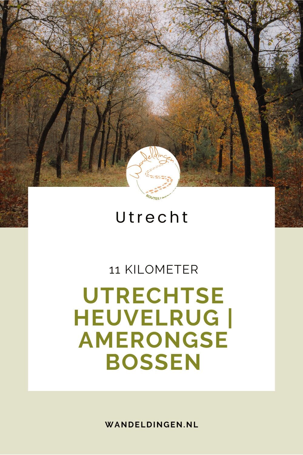 wandelen over de Amerongse Berg