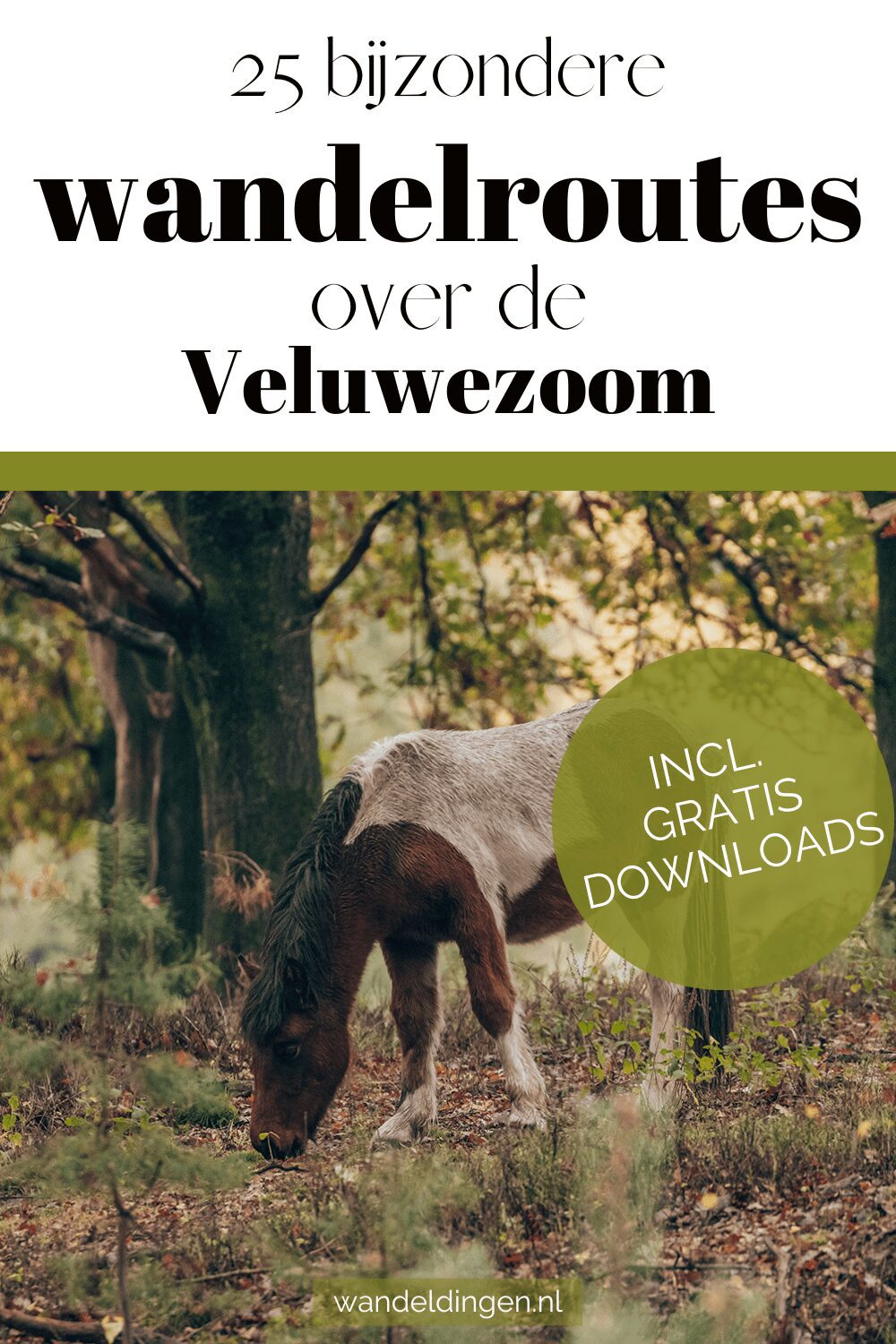 wandelroutes Veluwezoom