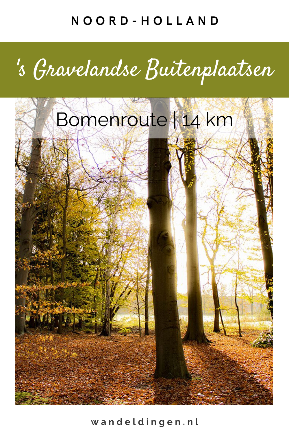 bomenroute sgravelandse buitenplaatsen