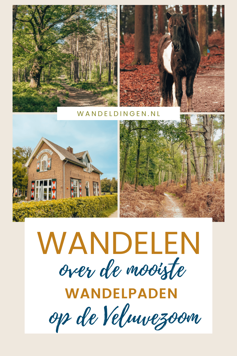 wandelroutes op de Veluwezoom