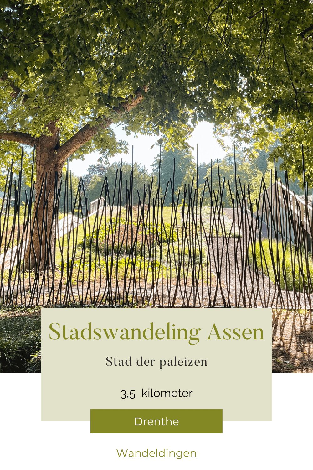 stadswandeling assen