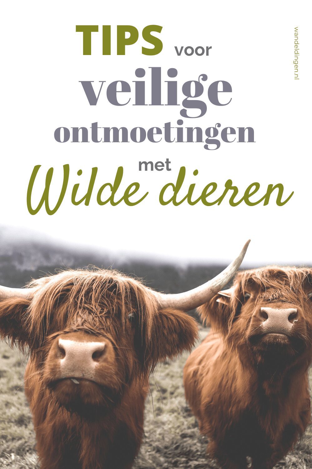 Veilige ontmoetingen wild