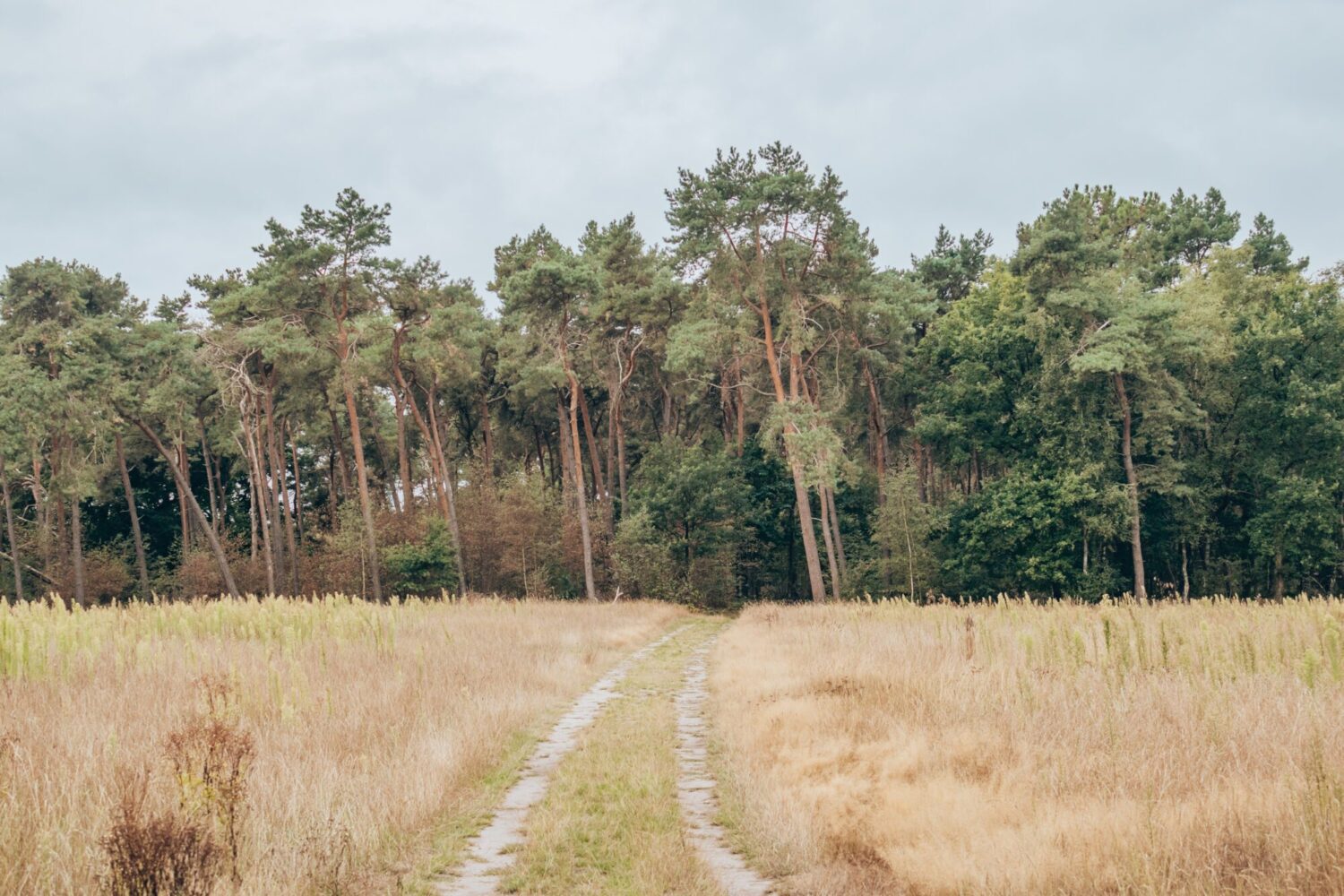 vlonderpad huis ter heide