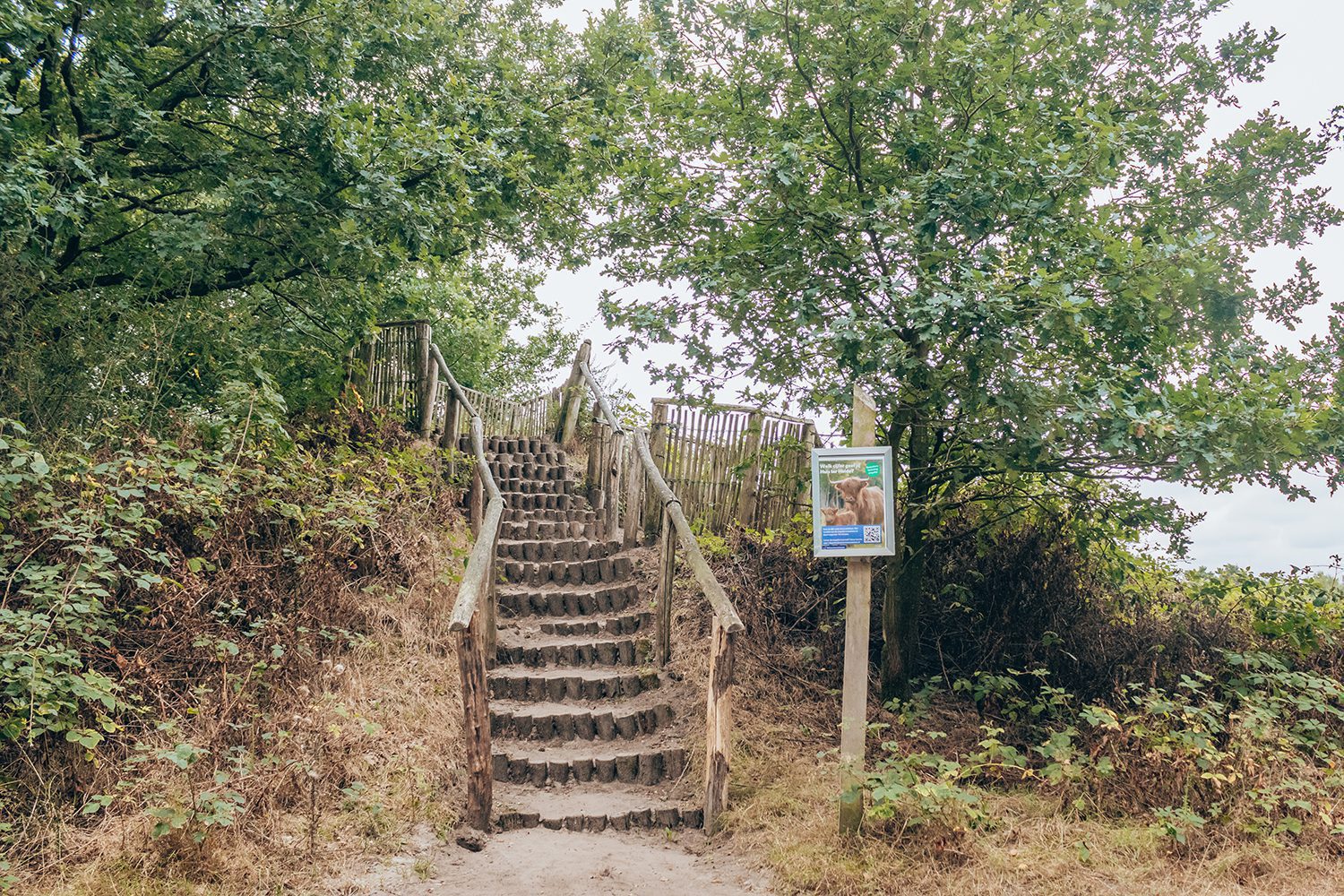 vlonderpad huis ter heide