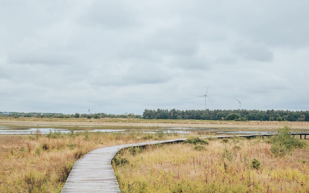 vlonderpad huis ter heide