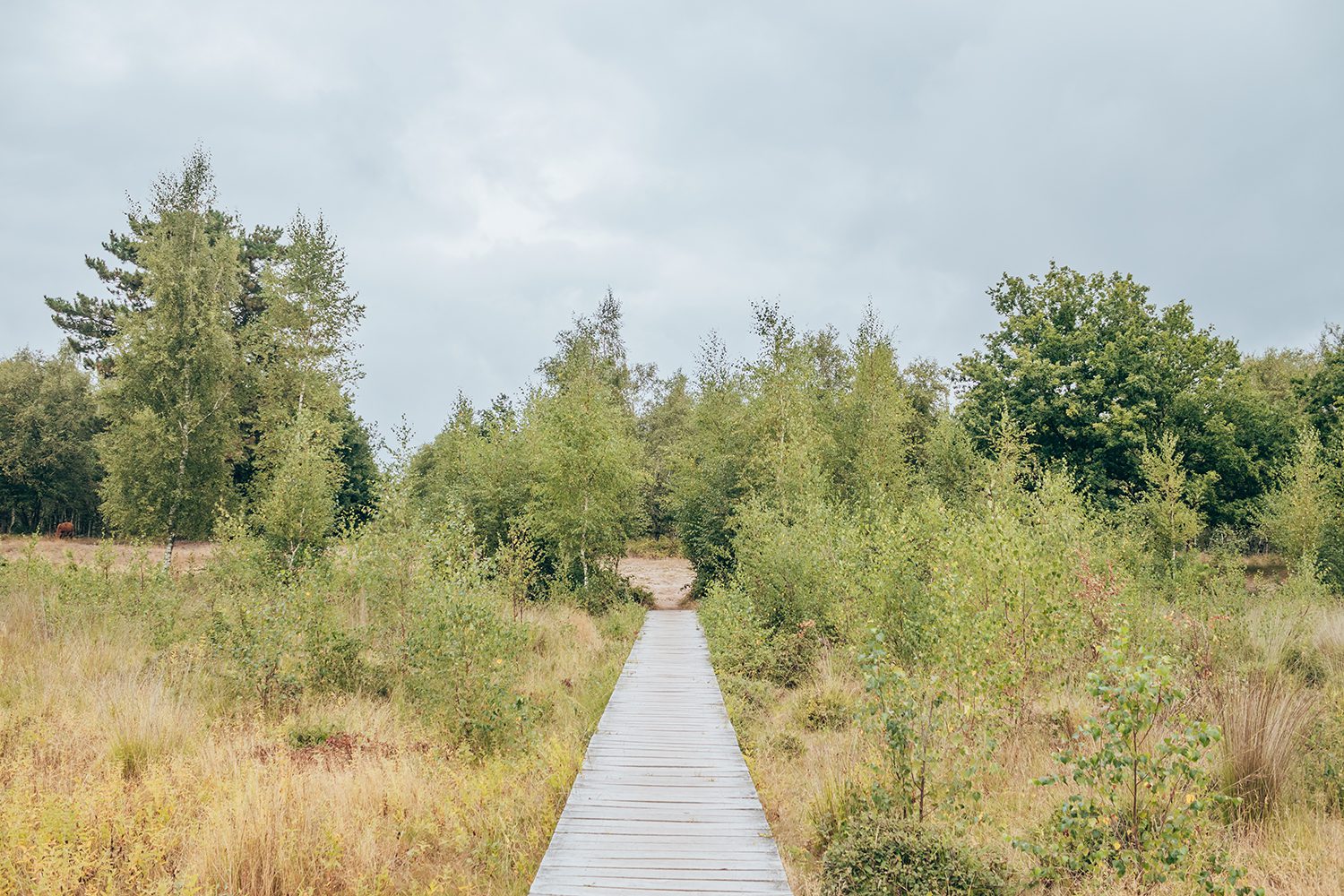 vlonderpad huis ter heide