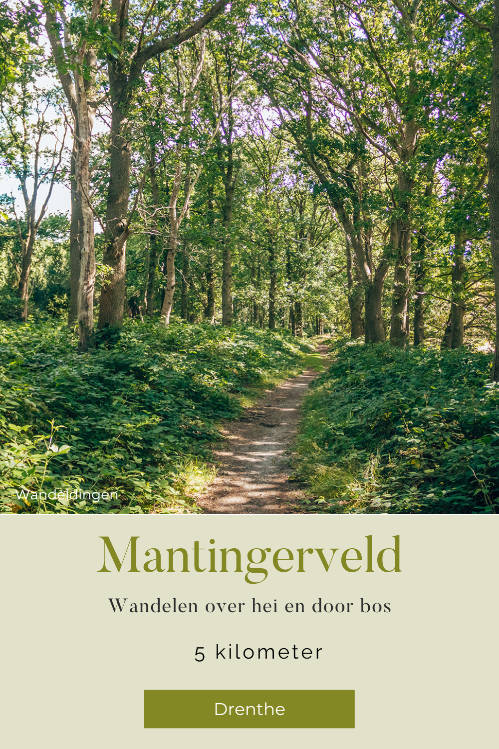 Mantingerveld