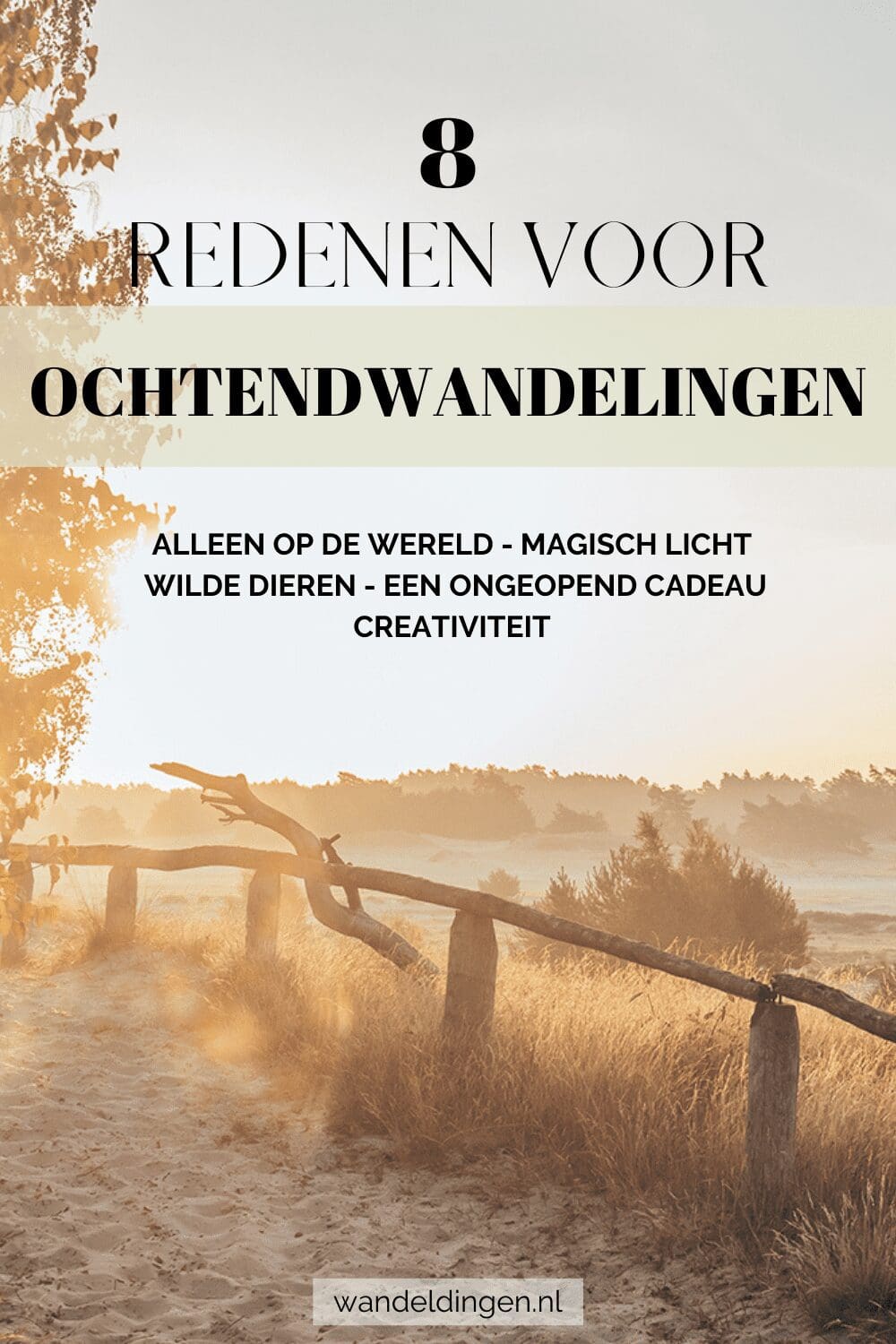 ochtendwandeling