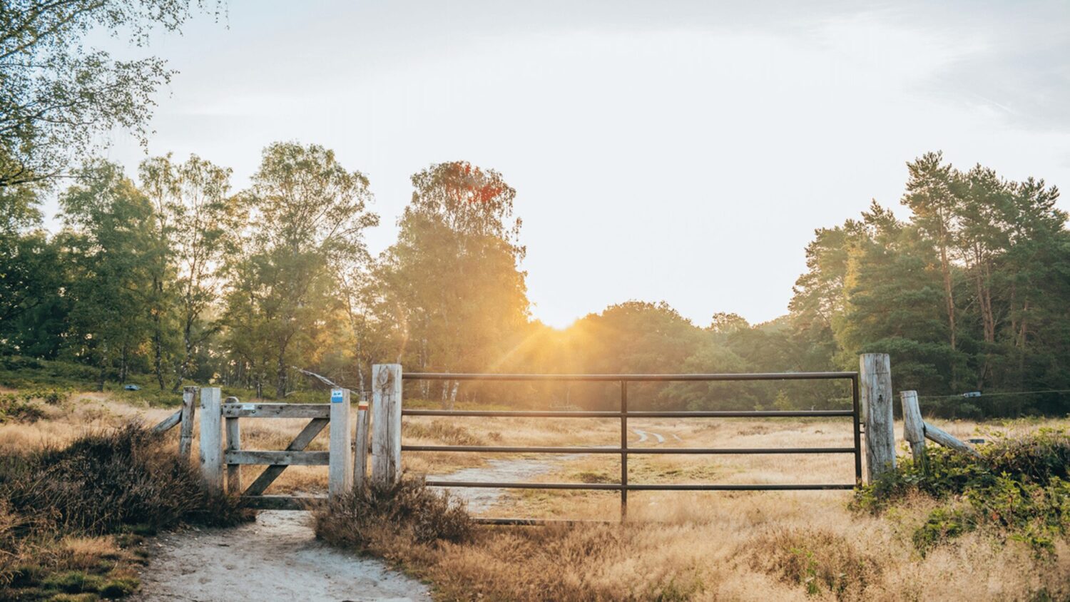 de veluwe