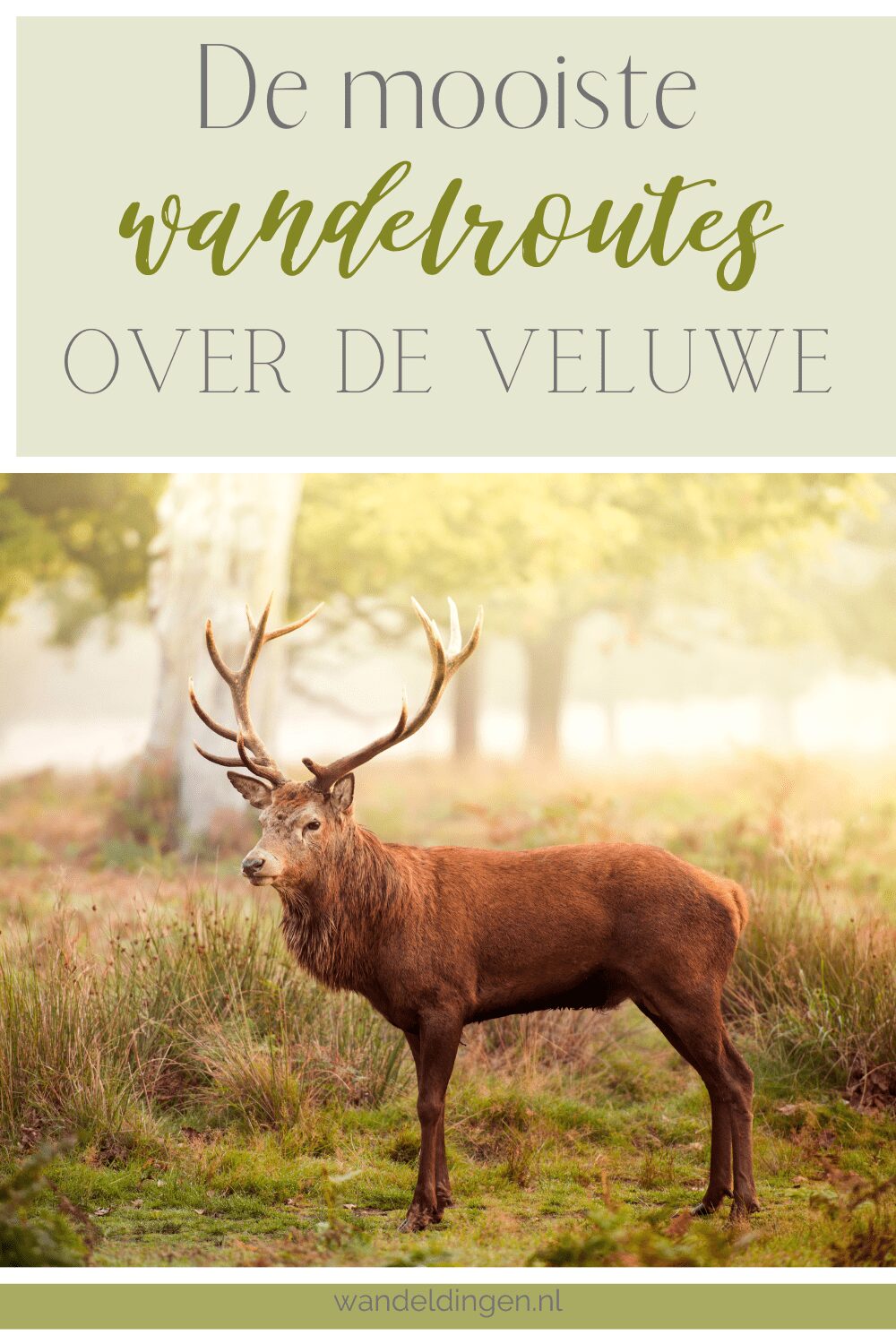 de veluwe