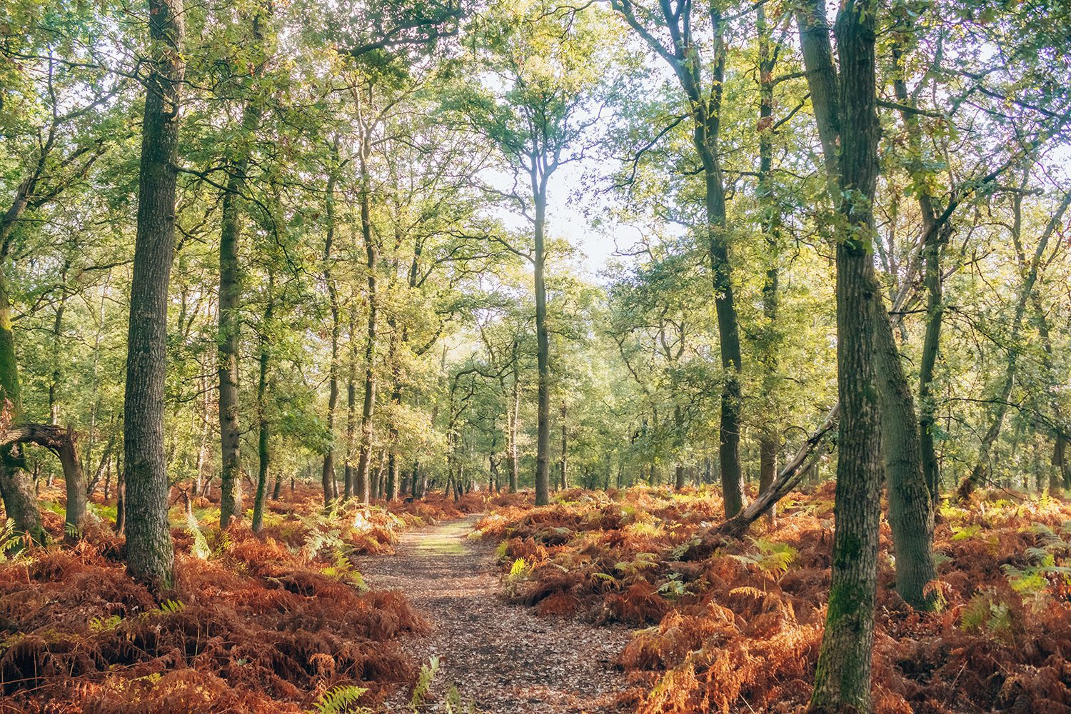 Herikhuizen