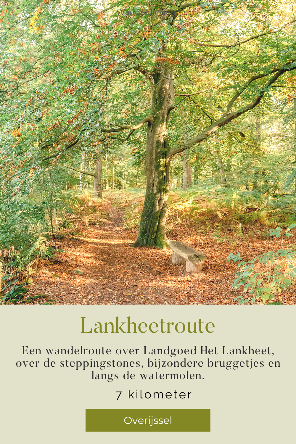 wandelroute lankheet