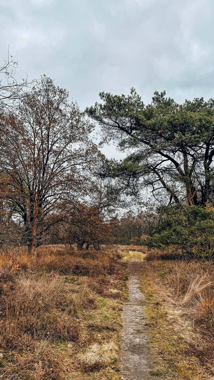 wandelen in Twente wandelen in Twente