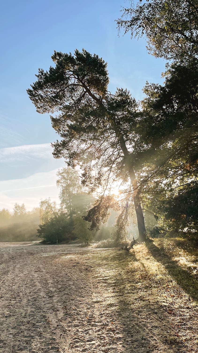 wandelen in Twente