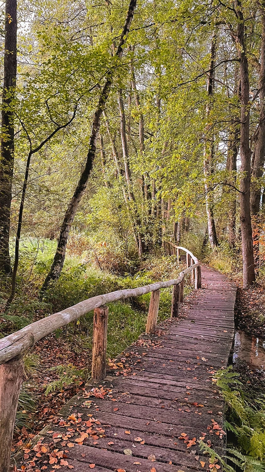 wandelen in Twente