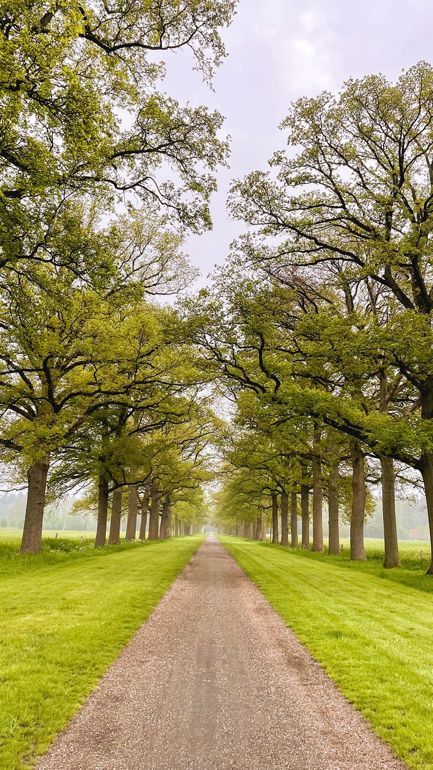 wandelen in Twente
