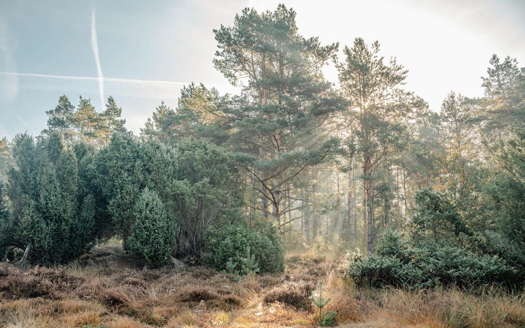 wandelen in Twente