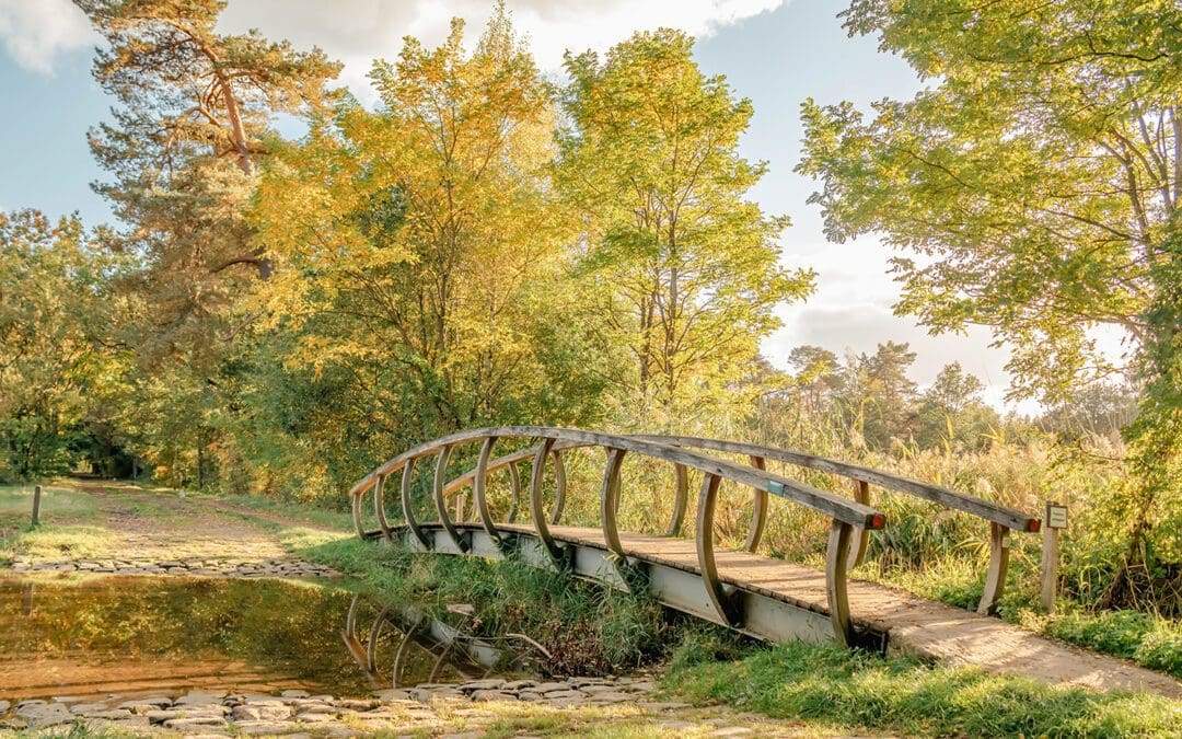 wandelroute lankheet