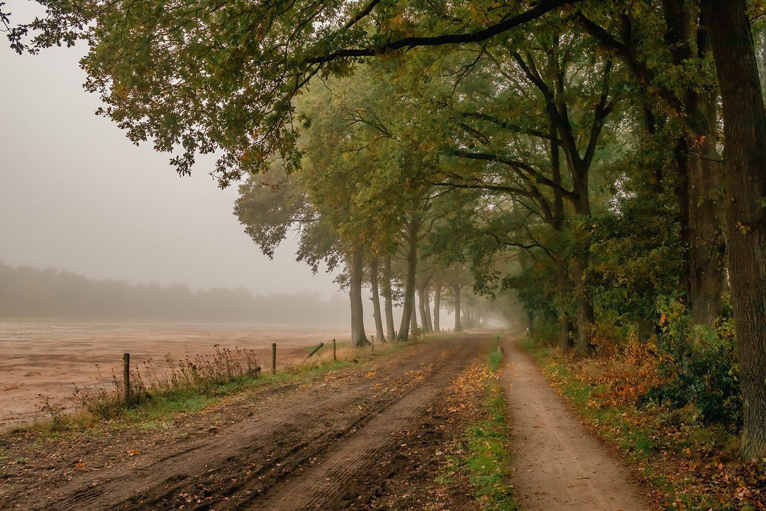 wandelen steenhaarplassen