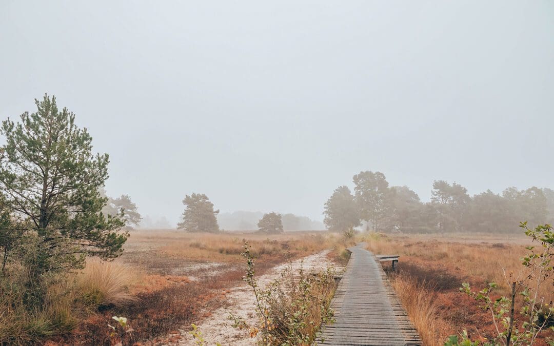 Blauwe route Steenhaarplassen 