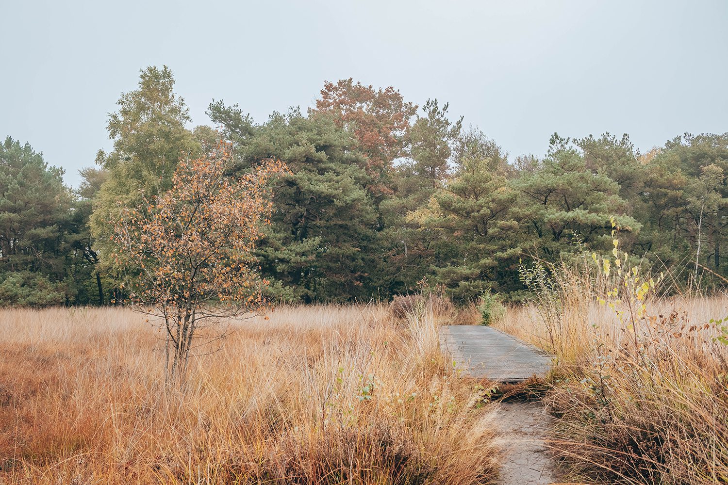 wandelen haaksbergen